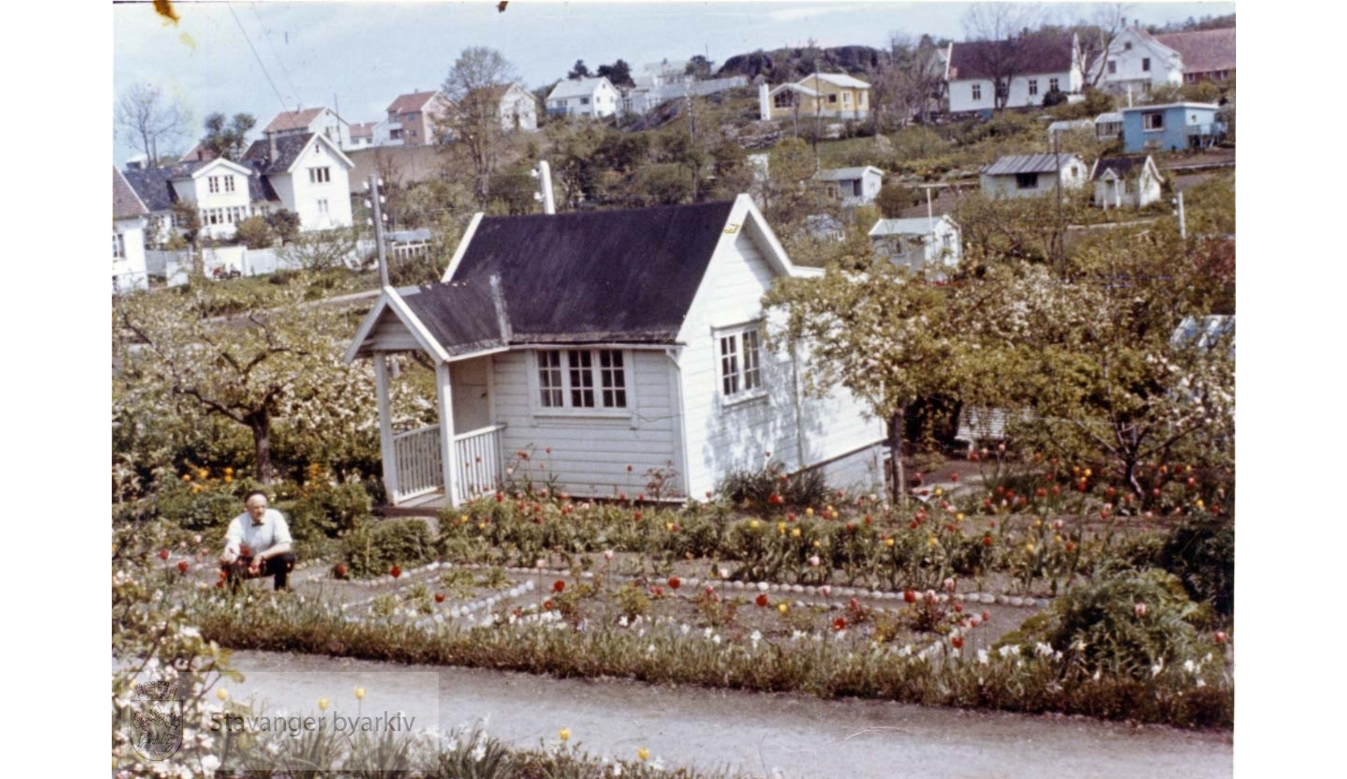 Parsell 20. 1962