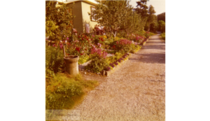 Parsell 74, 1960-1980?
