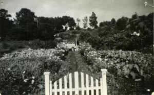 BySt1983_02_014