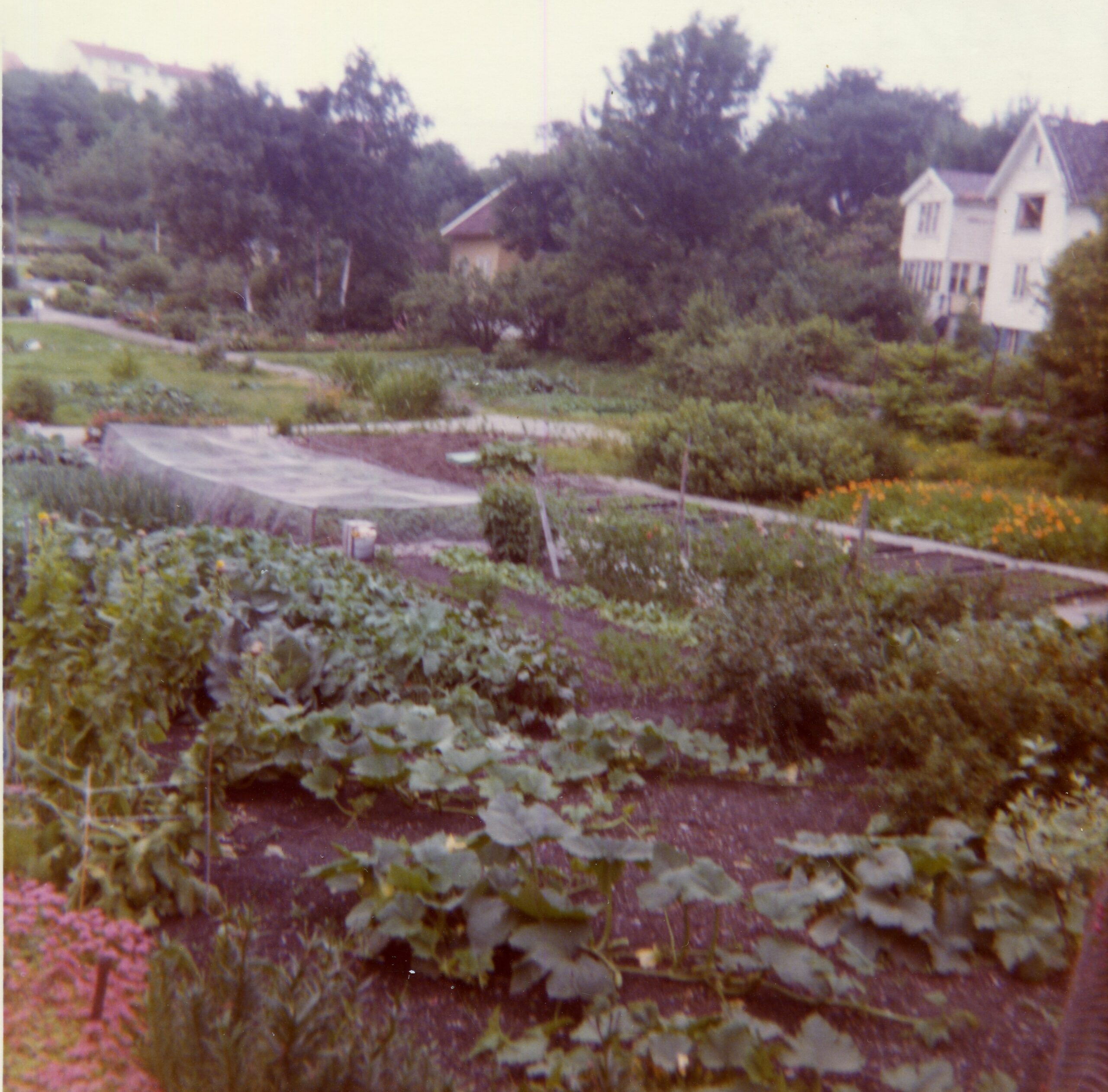 BySt1983_02_015