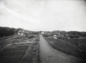BySt1983_02_021
