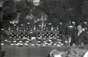 BySt1989_08_2455
