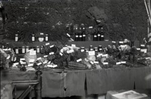 BySt1989_08_2459