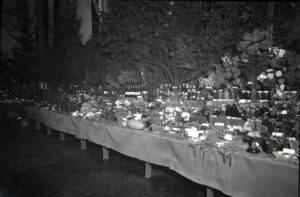 BySt1989_08_2460