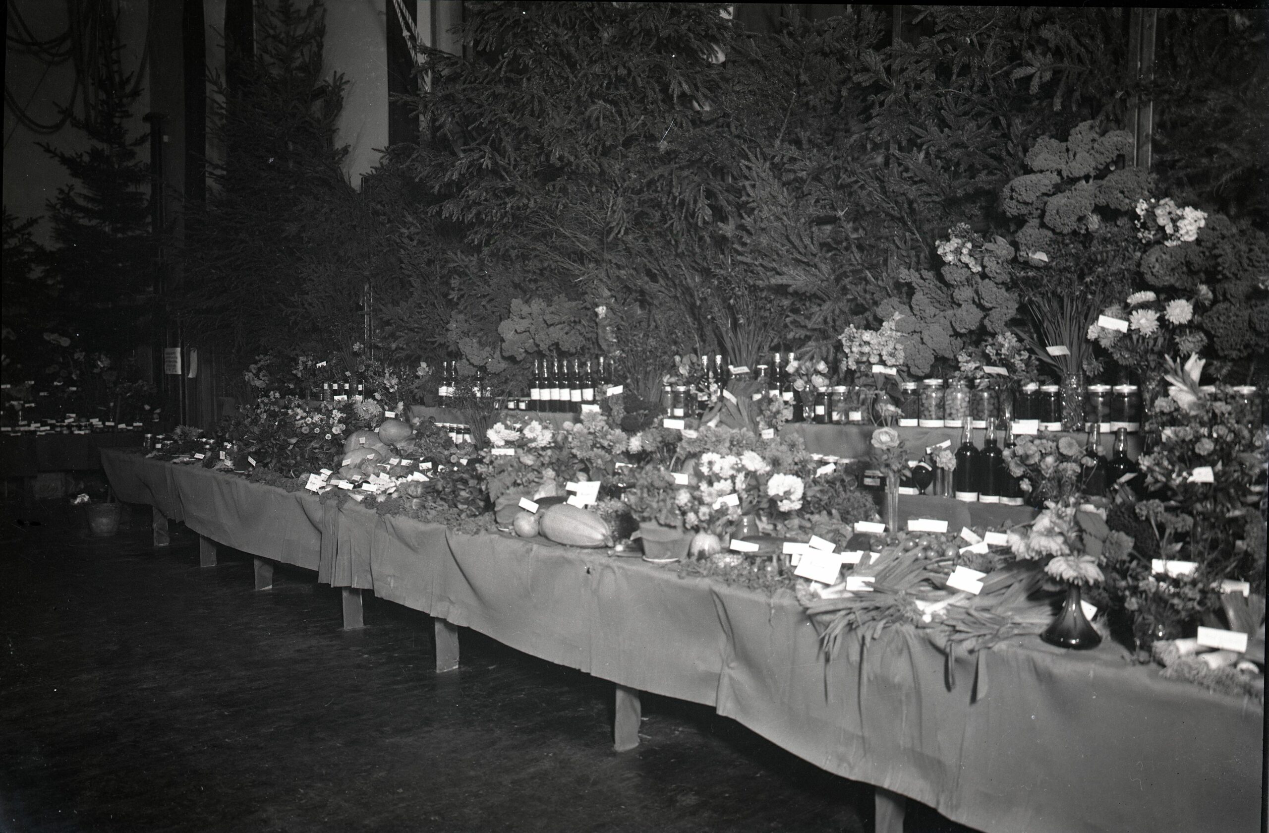 BySt1989_08_2460