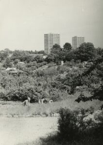 BySt2008_07_A773_008