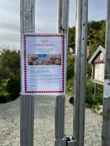 thumbnail_IMG_5162